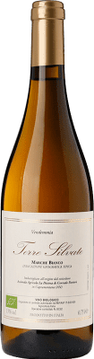19,95 € Kostenloser Versand | Weißwein La Distesa Terre Silvate I.G.T. Marche Marken Italien Trebbiano, Verdicchio 75 cl