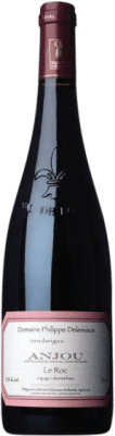 14,95 € Envío gratis | Vino Tinto Philippe Delesvaux Le Roc A.O.C. Anjou Loire Francia Cabernet Franc Eco — Ecológico 75 cl