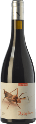 13,95 € Free Shipping | Red wine Mas Igneus Renéixer Negre Oak D.O.Ca. Priorat Catalonia Spain Syrah, Grenache, Cabernet Sauvignon, Carignan Bottle 75 cl