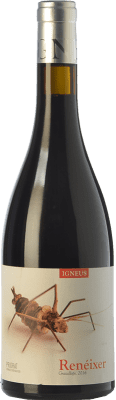 Mas Igneus Renéixer Negre Eiche 75 cl