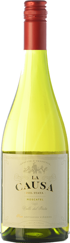 18,95 € Envoi gratuit | Vin blanc Miguel Torres La Causa I.G. Valle del Itata Itata Valley Chili Muscat d'Alexandrie Bouteille 75 cl