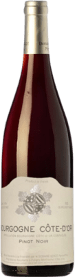 21,95 € 免费送货 | 红酒 Sylvain Bzikot Côte d'Or A.O.C. Bourgogne 勃艮第 法国 Pinot Black 瓶子 75 cl