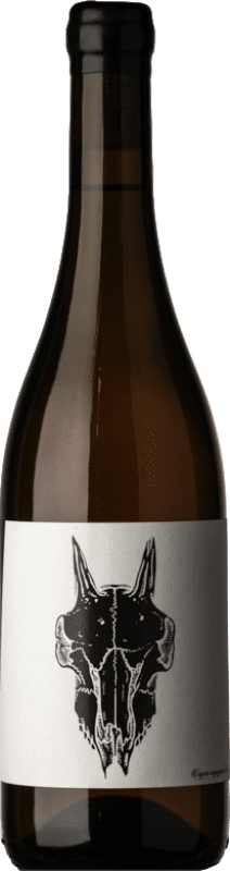 26,95 € Envio grátis | Vinho branco San Biagio Bianco Lucignolo I.G.T. Colli Aprutini Abruzzo Itália Trebbiano d'Abruzzo, Malvasia Branca Garrafa 75 cl