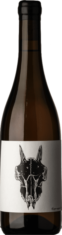 26,95 € Envío gratis | Vino blanco San Biagio Bianco Lucignolo I.G.T. Colli Aprutini Abruzzo Italia Trebbiano d'Abruzzo, Malvasía Blanca Botella 75 cl