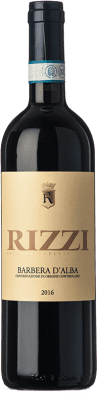 16,95 € Envio grátis | Vinho Tinto Nani Rizzi D.O.C. Barbera d'Alba Piemonte Itália Barbera 75 cl