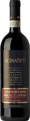 64,95 € Бесплатная доставка | Красное вино Stefano Accordini Acinatico D.O.C.G. Amarone della Valpolicella Венето Италия Corvina — Корвина, Rondinella — Рондинелла, Corvinone — Корвиноне, Molinara — Молинара 75 cl