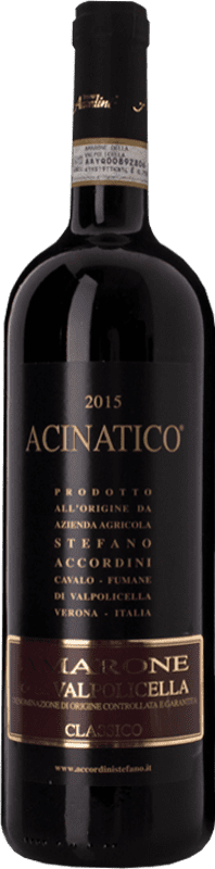 47,95 € 送料無料 | 赤ワイン Stefano Accordini Acinatico D.O.C.G. Amarone della Valpolicella ベネト イタリア Corvina, Rondinella, Corvinone, Molinara ボトル 75 cl