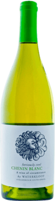 14,95 € Envio grátis | Vinho branco Waterkloof Seriously Cool I.G. Stellenbosch Coastal Region África do Sul Chenin Branco Garrafa 75 cl