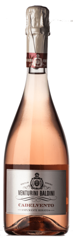 16,95 € Spedizione Gratuita | Spumante Rosato Venturini Baldini Cadelvento Brut Rosé — Rosato D.O.C. Reggiano Emilia-Romagna Italia Lambrusco Eco — Biologico 75 cl