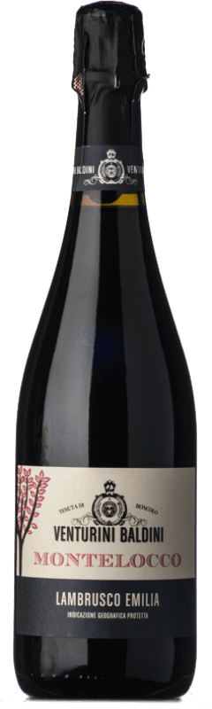 11,95 € Free Shipping | Red wine Venturini Baldini Semisecco Montelocco I.G.T. Emilia Romagna Emilia-Romagna Italy Lambrusco Salamino Bottle 75 cl