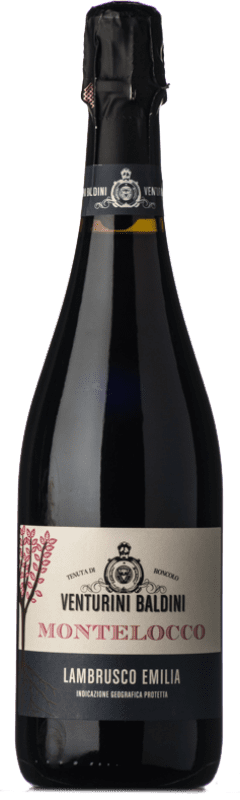 11,95 € Free Shipping | Red wine Venturini Baldini Montelocco Semi-Dry Semi-Sweet I.G.T. Emilia Romagna Emilia-Romagna Italy Lambrusco Salamino Bottle 75 cl