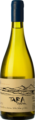 52,95 € Envoi gratuit | Vin blanc Viña Ventisquero Tara NV Crianza Desierto de Atacama Chili Viognier Bouteille 75 cl