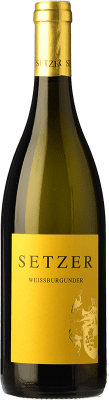 14,95 € Envio grátis | Vinho Branco Setzer Crianza I.G. Niederösterreich Niederösterreich Áustria Pinot Branco 75 cl
