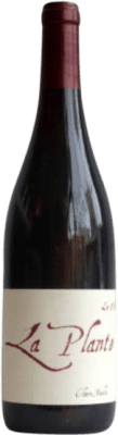 Claire Naudin La Plante Rouge Pinot Black 75 cl