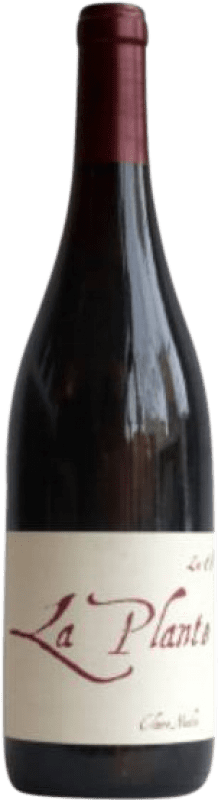 22,95 € 免费送货 | 红酒 Claire Naudin La Plante Rouge A.O.C. Bourgogne 勃艮第 法国 Pinot Black 瓶子 75 cl