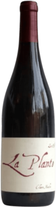 23,95 € Envío gratis | Vino Tinto Claire Naudin La Plante A.O.C. Bourgogne Borgoña Francia Pinot Negro Eco — Ecológico 75 cl