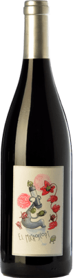 16,95 € Free Shipping | Red Wine Alemany i Corrió El Microscopi Young D.O. Penedès Catalonia Spain Merlot, Cabernet Sauvignon, Cariñena — Carignan Bottle 75 cl