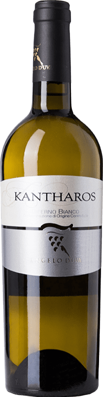 11,95 € Envio grátis | Vinho branco Angelo d'Uva Biferno Bianco Kantharos D.O.C. Molise Molise Itália Trebbiano Garrafa 75 cl