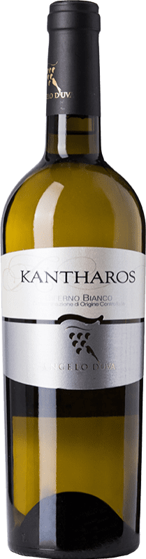 11,95 € Spedizione Gratuita | Vino Bianco Angelo d'Uva Biferno Kantharos D.O.C. Molise Molise Italia Trebbiano Bottiglia 75 cl