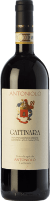 47,95 € 免费送货 | 红酒 Antoniolo D.O.C.G. Gattinara 皮埃蒙特 意大利 Nebbiolo 瓶子 75 cl