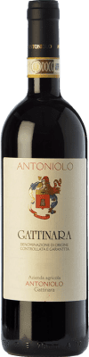 47,95 € Envío gratis | Vino Tinto Antoniolo D.O.C.G. Gattinara Piemonte Italia Nebbiolo 75 cl