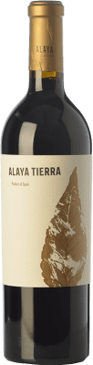 Atalaya Alaya Tierra Garnacha — Grenache Crianza — Aged 75 cl