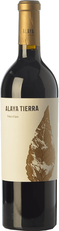 34,95 € Envío gratis | Vino tinto Atalaya Alaya Tierra Crianza D.O. Almansa Castilla la Mancha España Garnacha Tintorera Botella 75 cl