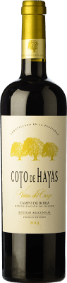 Bodegas Aragonesas Coto de Hayas Reserve — Gereift 75 cl