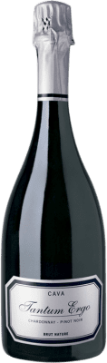 35,95 € Free Shipping | White Sparkling Wine Hispano-Suizas Tantum Ergo Chardonnay Reserve — Aged D.O. Cava Catalonia Spain Pinot Noir, Chardonnay Bottle 75 cl