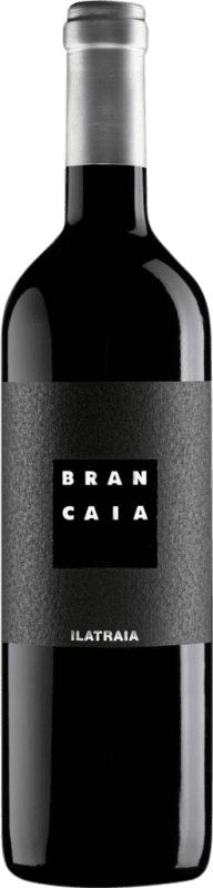 53,95 € Бесплатная доставка | Красное вино Brancaia Ilatraia I.G.T. Toscana Тоскана Италия Cabernet Sauvignon, Cabernet Franc, Petit Verdot бутылка 75 cl