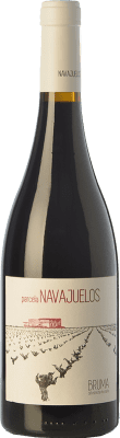 Bruma del Estrecho Parcela Navajuelos Monastrell Молодой 75 cl