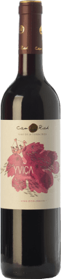 10,95 € Envío gratis | Vino Tinto Can Rich Yviça Joven I.G.P. Vi de la Terra de Ibiza Islas Baleares España Tempranillo, Merlot, Monastrell Eco — Ecológico 75 cl