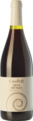 16,95 € Free Shipping | Red wine Casa Belfi Rosso Anfora I.G.T. Delle Venezie Friuli-Venezia Giulia Italy Cabernet Sauvignon, Raboso Bottle 75 cl