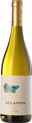 14,95 € Free Shipping | White wine Castillo de Maetierra Atlantis D.O. Rías Baixas Galicia Spain Albariño Bottle 75 cl