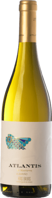 15,95 € Бесплатная доставка | Белое вино Castillo de Maetierra Atlantis D.O. Rías Baixas Галисия Испания Albariño — Альбариньо Бутылка 75 cl