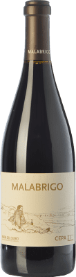 33,95 € Free Shipping | Red wine Cepa 21 Malabrigo Reserve D.O. Ribera del Duero Castilla y León Spain Tempranillo Bottle 75 cl