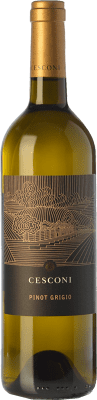 18,95 € Envío gratis | Vino Blanco Cesconi Et. Vigneto Selezione — Selección I.G.T. Vigneti delle Dolomiti Trentino Italia Pinot Gris Eco — Ecológico 75 cl