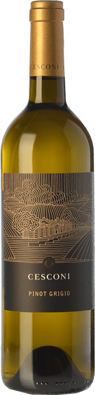 17,95 € Бесплатная доставка | Белое вино Cesconi Selezione Et. Vigneto I.G.T. Vigneti delle Dolomiti Трентино Италия Pinot Grey бутылка 75 cl
