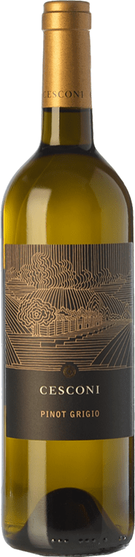 18,95 € Envoi gratuit | Vin Blanc Cesconi Et. Vigneto Sélection I.G.T. Vigneti delle Dolomiti Trentin Italie Pinot Gris Eco — Biologique Bouteille 75 cl