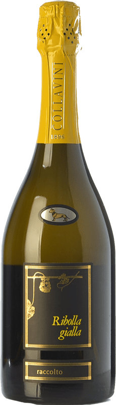 29,95 € 免费送货 | 白起泡酒 Collavini 香槟 D.O.C. Colli Orientali del Friuli 弗留利 - 威尼斯朱利亚 意大利 Ribolla Gialla 瓶子 75 cl