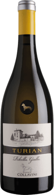 Collavini Turian Ribolla Gialla 75 cl