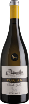 46,95 € Envio grátis | Vinho Branco Collavini Turian D.O.C. Colli Orientali del Friuli Friuli-Venezia Giulia Itália Rhoditis 75 cl