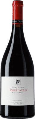 Dominio de Atauta Valdegatiles Tempranillo Aged Organic 75 cl