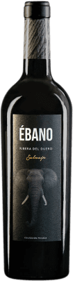 16,95 € Бесплатная доставка | Красное вино Ébano Salvaje Crianza — Крианса D.O. Ribera del Duero Кастилия-Леон Испания Tempranillo — Темпранильо 75 cl