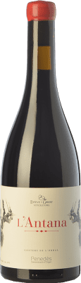 19,95 € Бесплатная доставка | Красное вино Esteve i Gibert L'Antana старения D.O. Penedès Каталония Испания Merlot бутылка 75 cl