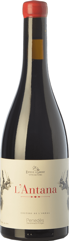 14,95 € Free Shipping | Red wine Esteve i Gibert L'Antana Aged D.O. Penedès Catalonia Spain Merlot Bottle 75 cl