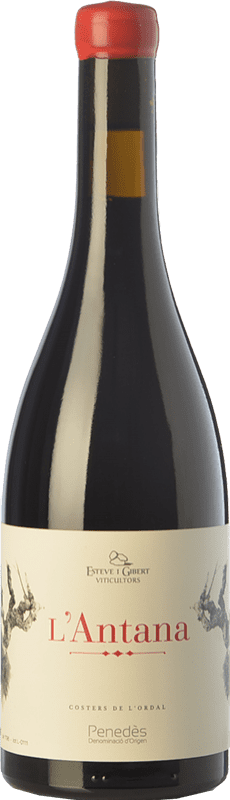 15,95 € Free Shipping | Red Wine Esteve i Gibert L'Antana Crianza — Aged D.O. Penedès Catalonia Spain Merlot Bottle 75 cl