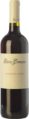 16,95 € Free Shipping | Red Wine Ettore Germano D.O.C. Barbera d'Alba Piemonte Italy Barbera 75 cl