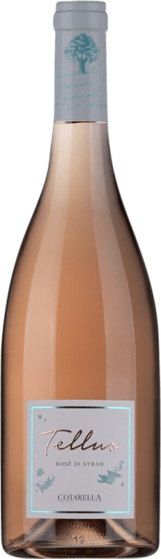 10,95 € Free Shipping | Rosé wine Falesco Tellus Rosé di Syrah I.G.T. Lazio Lazio Italy Syrah Bottle 75 cl