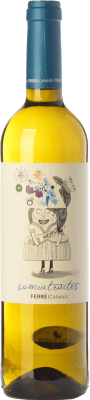 8,95 € Free Shipping | White wine Ferré i Catasús Somiatruites D.O. Penedès Catalonia Spain Xarel·lo, Chardonnay, Sauvignon White, Muscatel Small Grain, Chenin White Bottle 75 cl